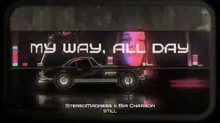 StereoMadness - Still (ft. Bia Charbon) | Official Visualizer