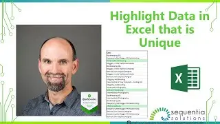 Highlight Data in Excel that is Unique