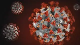 Double mutant COVID-19 variant makes its way to the US calling into question vaccine effectiveness