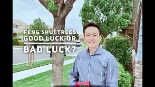 Feng shui Master Roger Lan- Know your trees, they could bring you bad luck!#fengshui