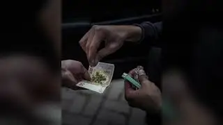 MALIK MONTANA x E9 ENZO x RYDA - POLSKI AFGAN