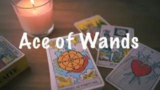 Ace of Wands ~ Learning the Tarot Together ~