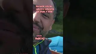Norve&ccedil;te olta ile uskumru yakalama Tek atışta 4 balık #uskumru #makrell #fishing #fish #balık #balık