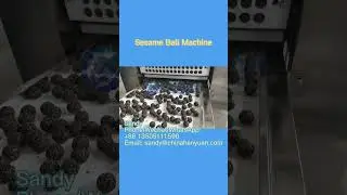 Snack Ball Machine Nuts Bar Making Equipment Sesame Peanut Ball Production Line#machine #equipment