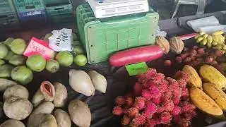 Feria del Agricultor en P&eacute;rez Zeled&oacute;n, Costa Rica (version diurna) 