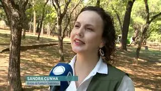 Casal de leões brancos são os novos moradores do Zoológico de Belo Horizonte