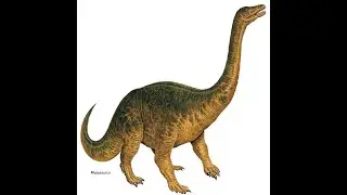 Riojasaurus Learning #dinosaur