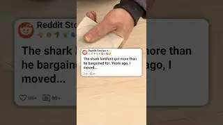 The shark Landlord got more than he bargained for 😤😈 #reddit
