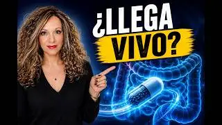 👉 C&oacute;mo elegir un buen probi&oacute;tico (cepas y calidad)