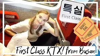 First class KTX Train from Busan!! - Vlogmas Day 8