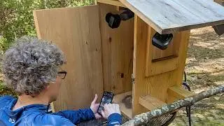 We Added a Perch to the Barred Owl Nest Box
