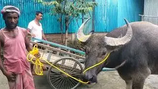 Utpal konwar moh tu