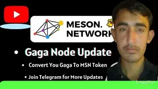 Gaga Mining important How to Convert Your Gaga node tolens to MSN token| free Gaga Node Meson Netwrk