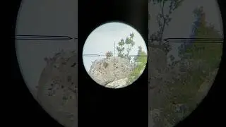 SHOOTING FROM 100 METERS WITH FACTOR SNIPER L #longrangeshooting #airrifleshooting #airgunshooting