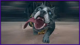 How To Win In Tekken 8 Using Leroy Dog, SUGAR!