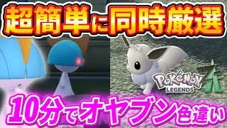 【ポケモンZA】完全放置も可能！オヤブン色違いラルトスとイーブイ厳選方法【ポケモンレジェンズZA】