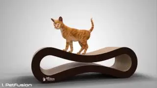5 Cool Cat Beds You Can Buy on Amazon