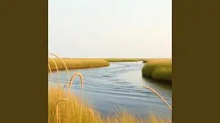 570 Hz Tranquil Breath Flux
