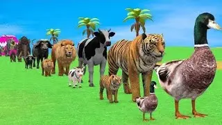 Long Slide Game With Cow Elephant Gorilla Hippopotamus Tiger 3d Animal Game Funny 3d Animals