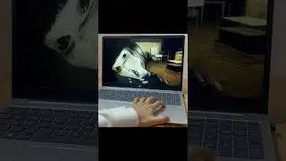 My first jumpscare in Emily Wants to Play lol #EmilyWantsToPlay