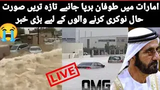 Dubai Breaking News Today | Latest Situation In UAE | Dubai | Live News | Khaleej Times