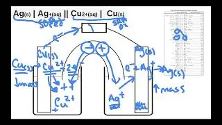 Walk through how a voltaic cell works and calculate the cell potential! Chemistry 30