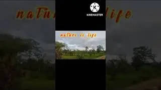 nature...