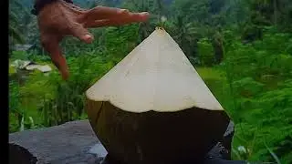 The sweet young coconut