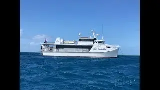 Swains Reef - 2020