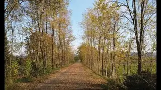 Camminando lungo la ex ferrovia Voghera-Varzi, ma solo per qualche chilometro!