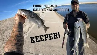 CA Aqueduct | Found Them! Keepers!