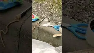 Установка Шильдика в стиле Порше на Весту . Полное видео уже на канале. Подписываемся на канал .