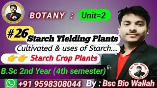 Starch Yielding Plants || Starch Crop Plants || wheat, maize, rice, Barley ,rye, potato,sweetpotato