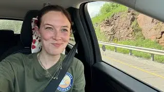 BIRD IDENTIFICATION WITH STEPH: a warbler in nyc??!?