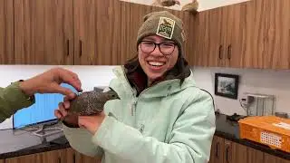 Quail Capture 2024 - Short Video