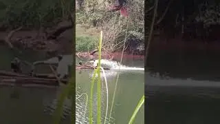 BOAT FISHING #shortsayo fishing,bass fishing,lojo fishing,miami fishing,fishing,deep sea fishing,