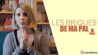 Les briques de ma PAL!