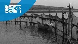 P&ecirc;cheurs de Pomcoup