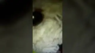 [Tipsun huoli part 4]  Mik&auml; teit&auml; vaivaa ?:(