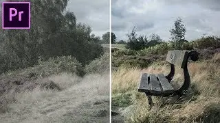 HOW TO get a LOG Picture Profile on ANY CAMERA!