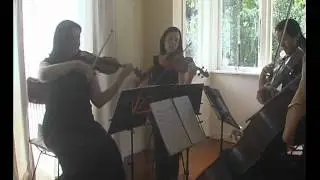 Minuet by Boccerini - Performed by the Nikau String Quartet (Auckland, NZ)