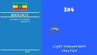 Ethiopian Grade 12 Biology 3#4 Light Independent reaction