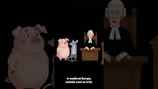 THE CRAZIEST COURT CASES EVER 🐖⚖️🤯 #history #didyouknow#trials #law#medievalhistory
