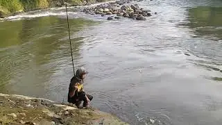 mancing di sungai Serayu, dapat ikan MAHSSER SSB #mahseer