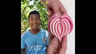 🤣👌👌👌2025 pov Must-Watch Crazy Clips Compilation #humor #fypシ #pov #fyp #foryou 😍😜