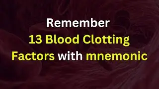 Remember 13 Blood Clotting Factors with silly Mnemonic | HSC Biology | BUETian teaching Biology
