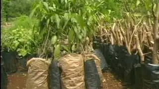 Medicinal Plants Conservation Centre, India - Equator Prize 2002 Winner