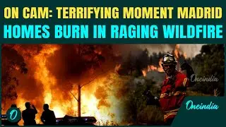 Spain Madrid Wildfire Horror: 1 Dead, Thousands Evacuated as Deadly Blaze Races 6 KM in 40 Minutes