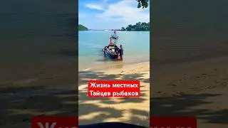 Жизнь местных тайцев🌴 #таиланд #пхукет