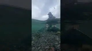 Huge Rainbow Trout Release! 🐟 🔥